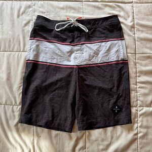 American Eagle Outfitters swim suit shorts